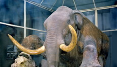 To die like mammoths: the number of atheists steadily decreasing, – research