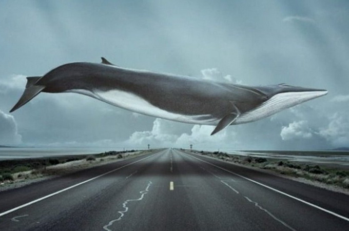 В России посадят на 6 лет за создание «групп смерти» в соцсетях