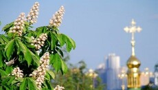 Епископ Варсонофий принял участие в праздновании Дня Киева