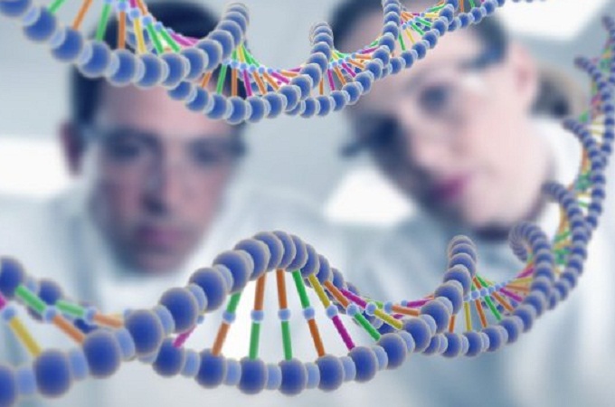 У США вчені розпочали ризикований експеримент зі зміни геному людини