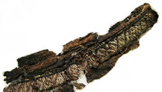 Шведские ученые нашли упоминание Аллаха в могиле викингов