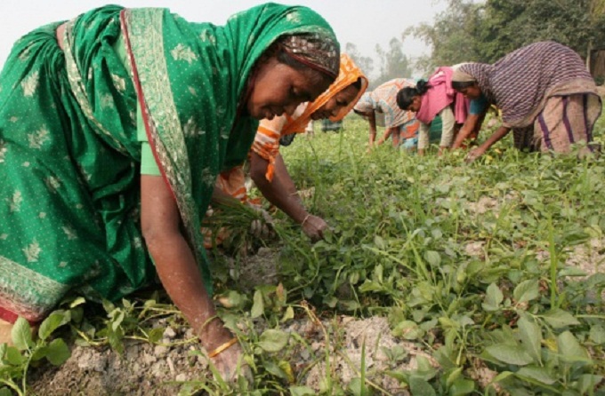 В Бангладеш имам попал в тюрьму из-за запрета женщинам работать в поле