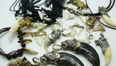 Охранники в аэропортах США учатся адекватно реагировать на амулеты индейцев