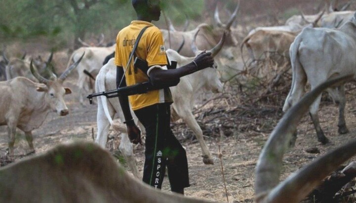 Pastevec z kmene Fulani. Ilustrační obrázek z BBC News