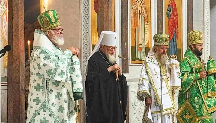 Zdroj: orthox.pl
