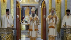 Srbský patriarcha Porfirije: Boží království roste z víry a trpělivosti