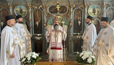 Biskup Jerotej: Zbožštění je největší dar, který v Církvi přijímáme