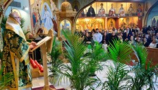 Arcibiskup Elpidoforos: Květná neděle je předzvěst vítězství nad smrtí