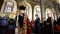 Arcibiskup Elpidoforos se po zdravotních potížích vrátil do USA