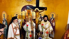 Patriarcha Theodor II.: Nikdy neopustíme chrámy našich předků