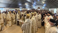 Patriarcha Porfirije: V Kristu nás nemůže rozdělit žádná vzdálenost